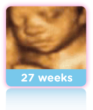 31 Week Ultrasound Scan 