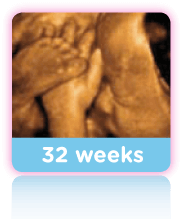 32 Weeks Baby Scan 
