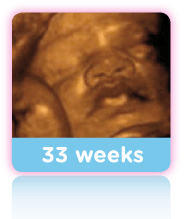 33 Week Baby Scan 